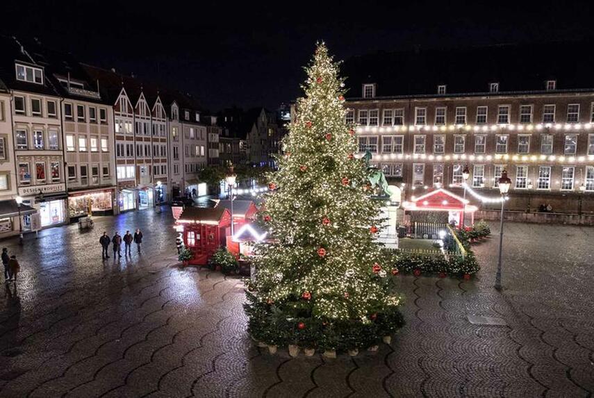 Tanne vor dem Rathaus verbreitet vorweihnachtliche Stimmung