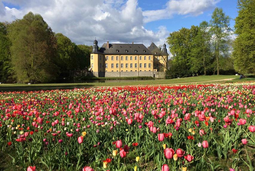 Pflanzen und mehr: Schlossfrühling in Schloss Dyck